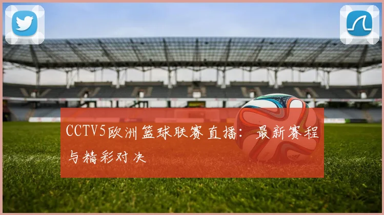 CCTV5欧洲篮球联赛直播：最新赛程与精彩对决