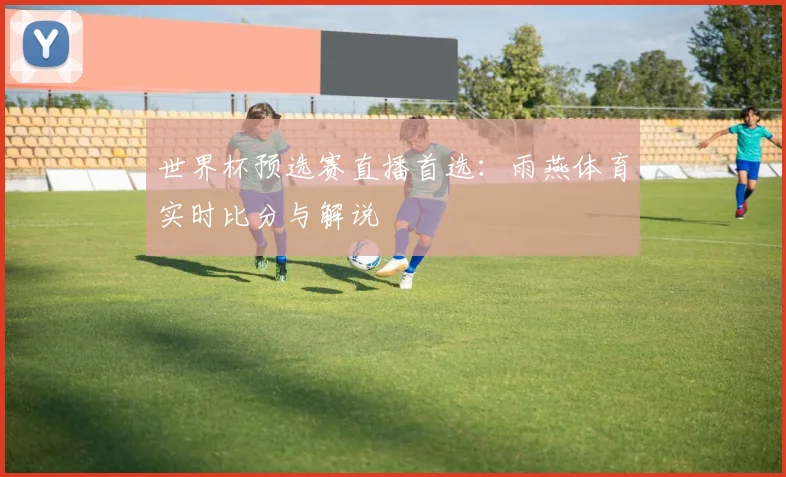 世界杯预选赛直播首选：雨燕体育实时比分与解说