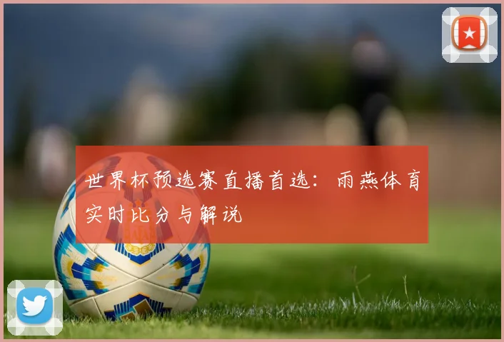 世界杯预选赛直播首选：雨燕体育实时比分与解说