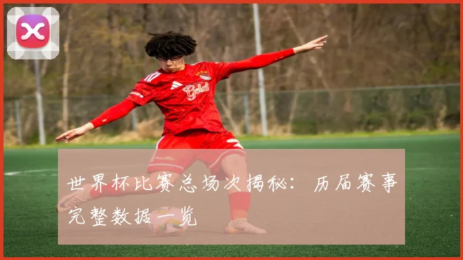 世界杯比赛总场次揭秘:历届赛事完整数据一览