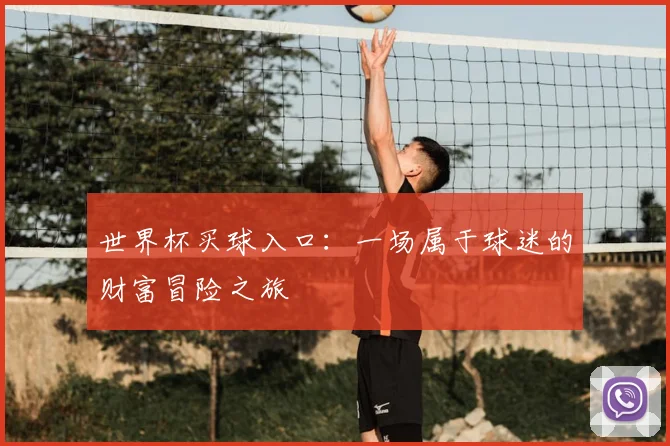 世界杯买球入口：一场属于球迷的财富冒险之旅