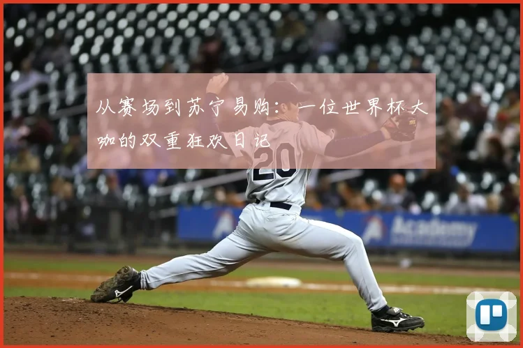 从赛场到苏宁易购:一位世界杯大咖的双重狂欢日记
