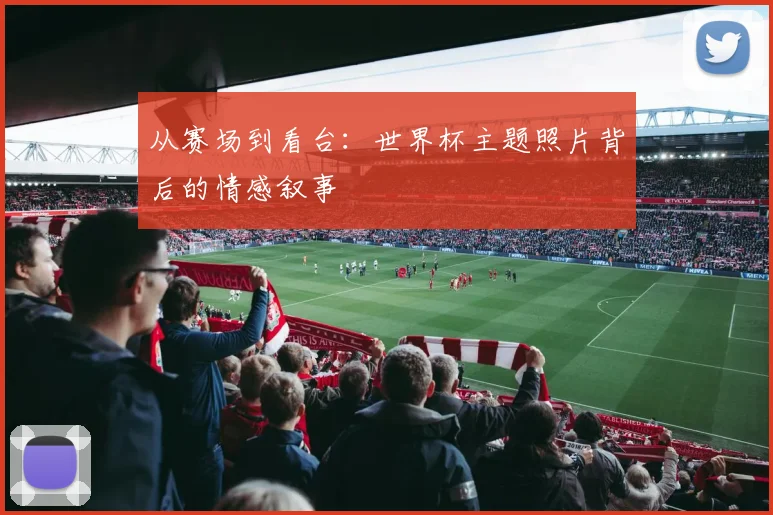 从赛场到看台:世界杯主题照片背后的情感叙事