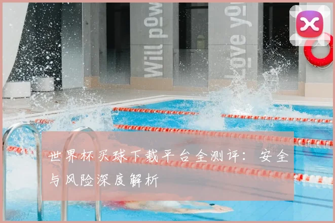 世界杯买球下载平台全测评：安全与风险深度解析