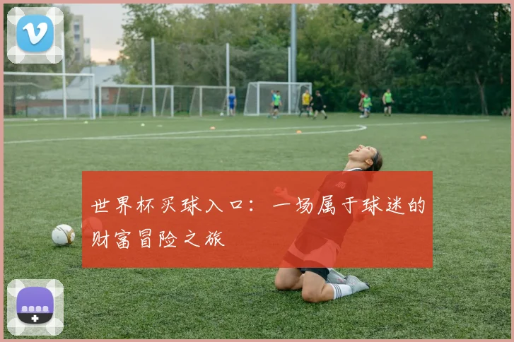世界杯买球入口：一场属于球迷的财富冒险之旅
