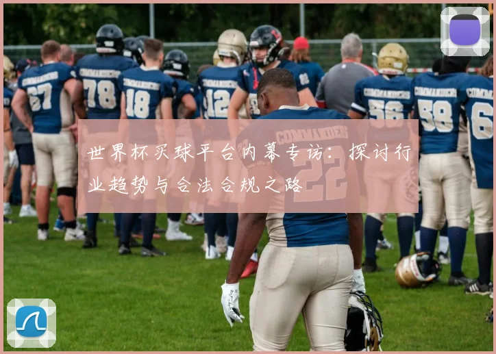 世界杯买球平台内幕专访：探讨行业趋势与合法合规之路
