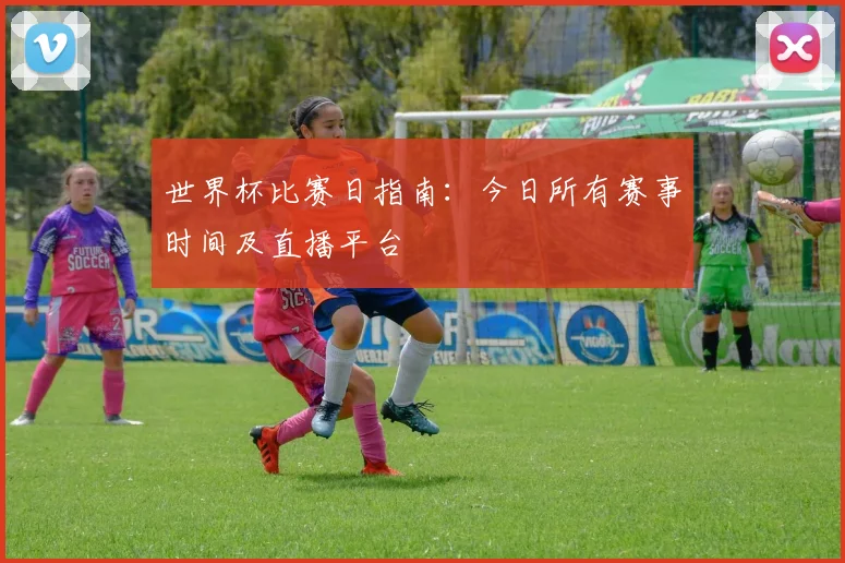 世界杯比赛日指南:今日所有赛事时间及直播平台