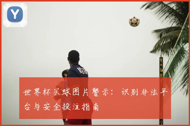 世界杯买球图片警示：识别非法平台与安全投注指南
