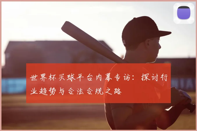 世界杯买球平台内幕专访：探讨行业趋势与合法合规之路