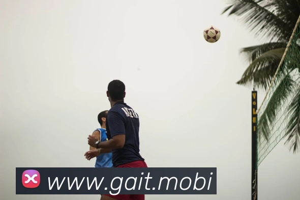 必动体育官网APP 封面图